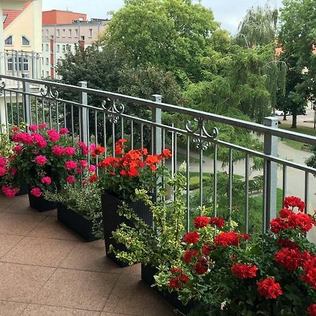 אלק Apartament Polonia מראה חיצוני תמונה