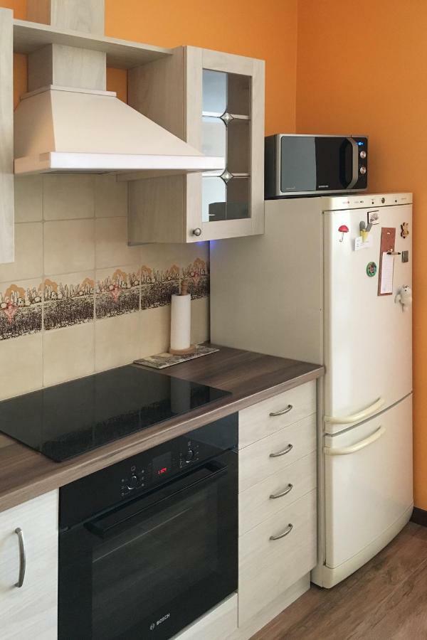 אלק Apartament Polonia מראה חיצוני תמונה